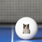 Authentic Cat Ball (Net)