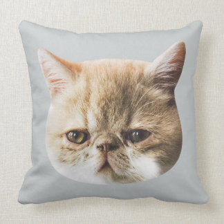 Authentic Chippy Throw Cushion Kussen