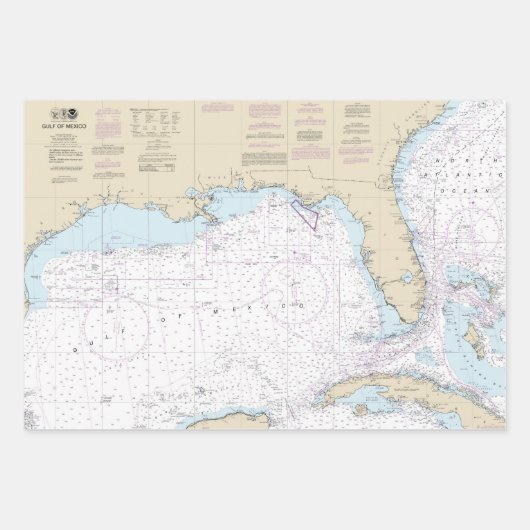 Authentic Florida Nautical Charts Boating Inpakpapier Vel (Voorkant)
