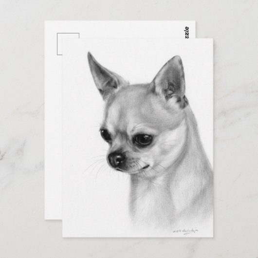 Authentiek Chihuahua kunstwerk Briefkaart (Voorkant / Achterkant)