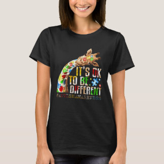 Autism Awareness Acceptance Women Kid Its Ok To Be T-shirt