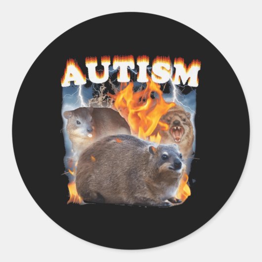 Autisme Hyrax Grappige meme Ronde Sticker (Voorkant)
