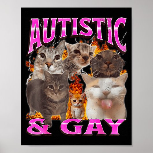 Autistic And Gay Funny Cat Meme Bootleg Graphic  Poster (Voorkant)