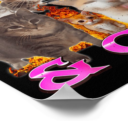 Autistic And Gay Funny Cat Meme Bootleg Graphic Poster (Hoek)