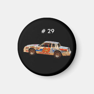 Auto 29 magneet