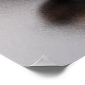 Auto Auburn851v34-02Rer Poster (Hoek)