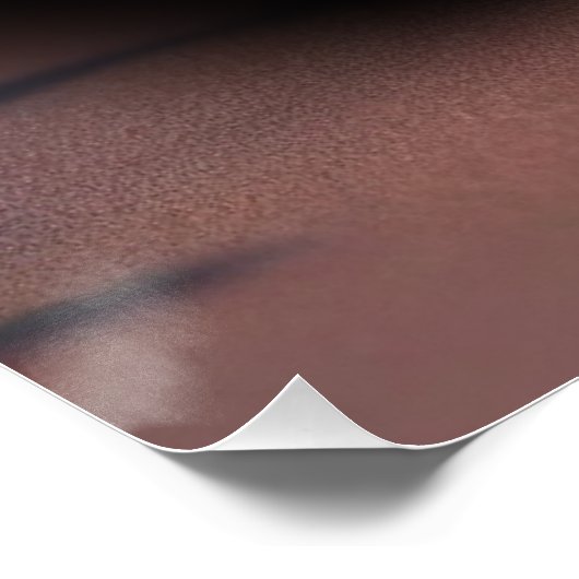 AUTO CAR PERFECT POSTER (Hoek)