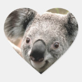 Auto-Koala-Collant Hart Sticker (Voorkant)