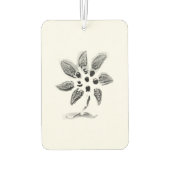 AUTO luchtverfrisser ART AND DESIGN (Achterkant)