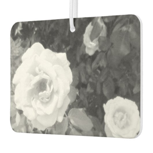 Auto luchtverfrisser kunst en design (Links)