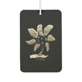 Auto luchtverfrisser kunst en design