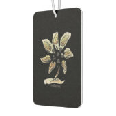 Auto luchtverfrisser kunst en design (Links)