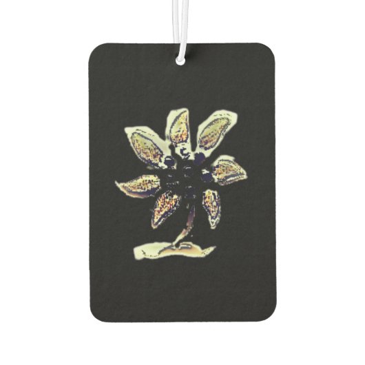 Auto luchtverfrisser kunst en design (Achterkant)