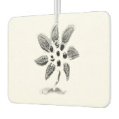 Auto luchtverfrisser kunst en design (Links)