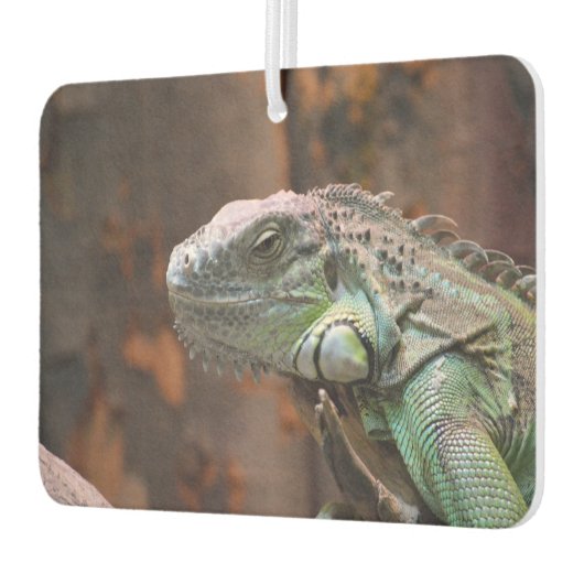 Auto Luchtverfrissers met geweldige Iguana hagedis (Links)