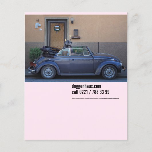 Auto te koop flyer (Achterkant)