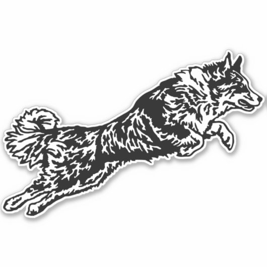 Autoaufkleber Australian Shepherd Sticker (Voorkant)