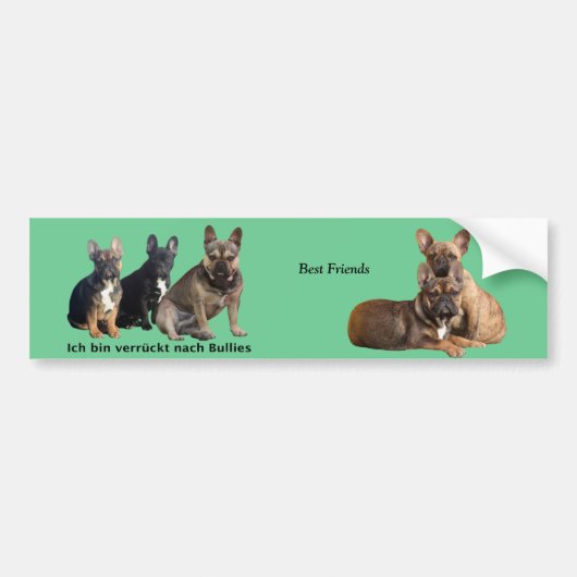 Autoaufkleber französische Bulldoggen Bumpersticker (Voorkant)