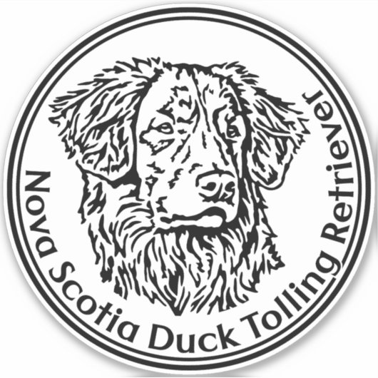 Autoaufkleber Nova Scotia Duck Tolling Retriever Sticker (Voorkant)