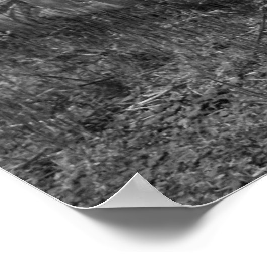  autobus poster (Hoek)