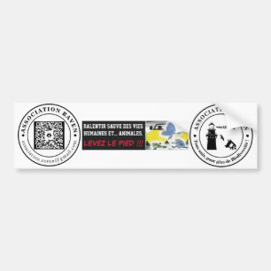 AUTOCOLLANT STEMMING - ASSOCIATIE-RAVEN BUMPERSTICKER