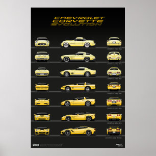 Autoevolutie Poster