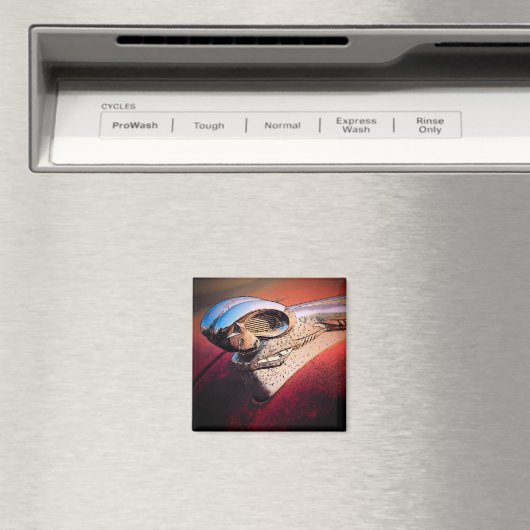 Autokap Magneet (Insitu (Vaatwasser))