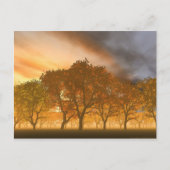 Automne Briefkaart (Voorkant)