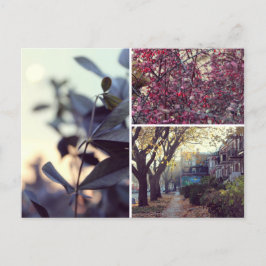 Automne Briefkaart