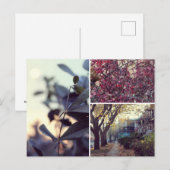 Automne Briefkaart (Voorkant / Achterkant)