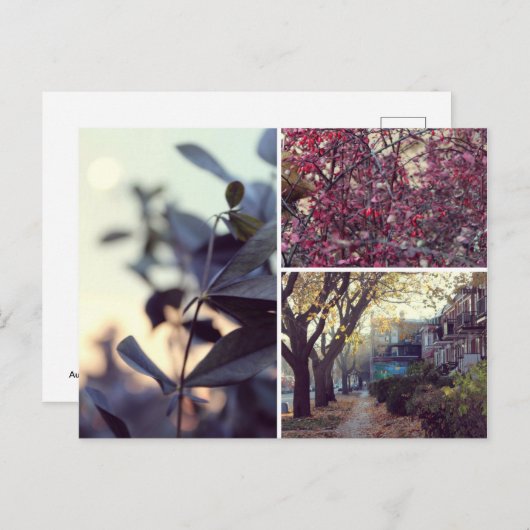 Automne Briefkaart (Voorkant / Achterkant)