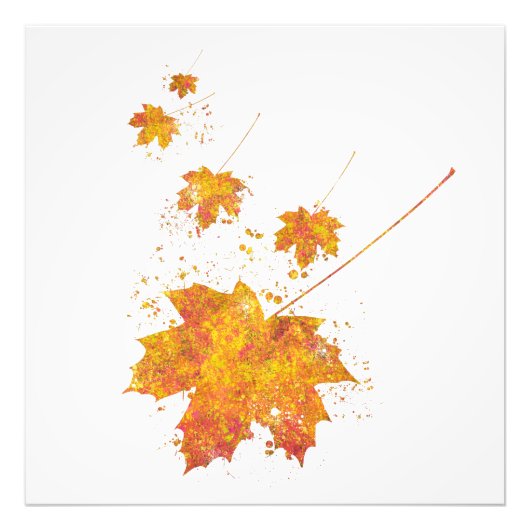 Automne Feuille Forêt Sauvage Natuur Monde Terre V Foto Afdruk (Voorkant)