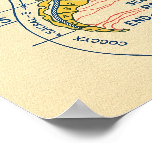 Autonoom zenuwstelsel, ruggenmergzenuwen poster (Hoek)