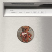Autopsie van T. Beer Magnet (Insitu (Vaatwasser))