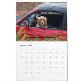 Auto's en poten kalender (Mar 2026)