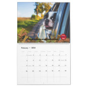 Auto's en poten kalender (Feb 2026)