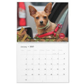 Auto's en poten kalender (Jan 2027)