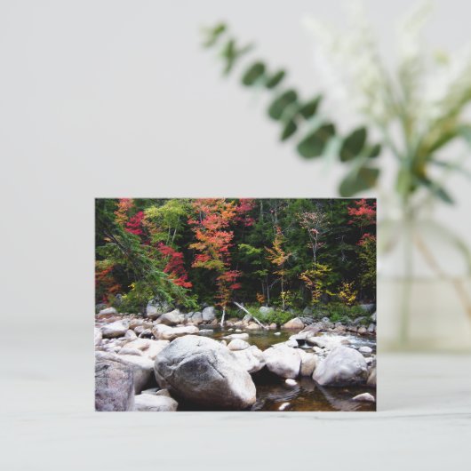 Autosnelweg Kancamagus in het najaar Briefkaart (Staand voorkant)