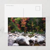 Autosnelweg Kancamagus in het najaar Briefkaart (Voorkant / Achterkant)