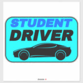 Autoveiligheid voor de Teenage Student Driver Sticker (Vel)