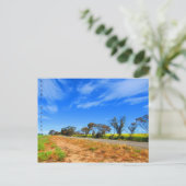 autoweg van de clare valley briefkaart (Staand voorkant)