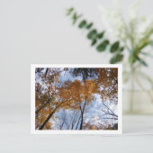 Autum Colors en Sky Briefkaart (Staand voorkant)