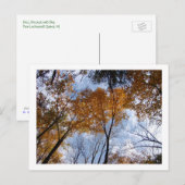 Autum Colors en Sky Briefkaart (Voorkant / Achterkant)