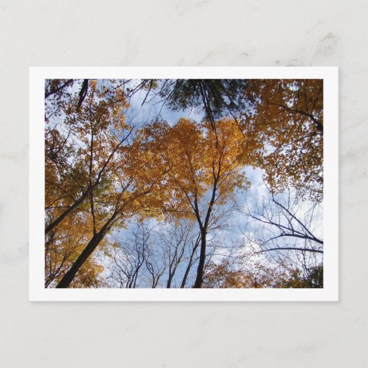 Autum Colors en Sky Briefkaart (Voorkant)