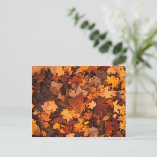Autum Leaves Briefkaart (Staand voorkant)