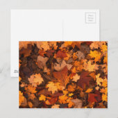 Autum Leaves Briefkaart (Voorkant / Achterkant)