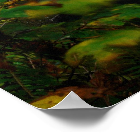 Autum Lower South Herfsten Poster (Hoek)