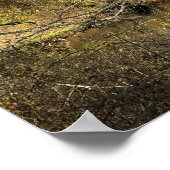 Autum Reflecties op het Creek Poster (Hoek)