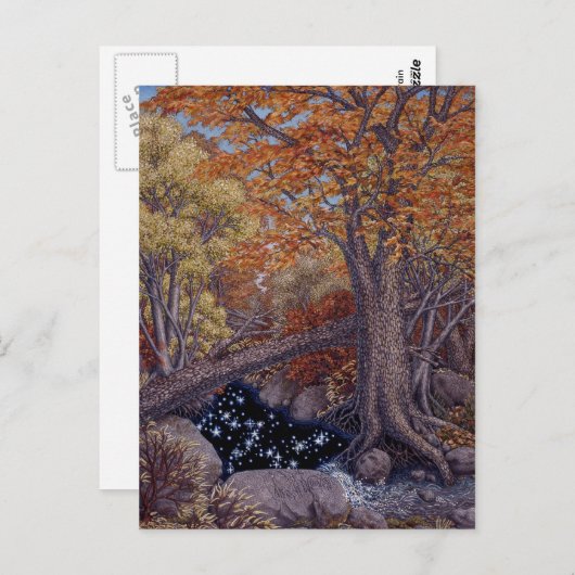 Autum Spring Briefkaart (Voorkant / Achterkant)