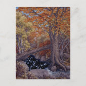 Autum Spring Briefkaart (Voorkant)